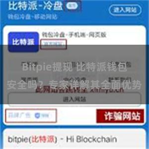 Bitpie提现 比特派钱包安全吗？专家详解其全面优势