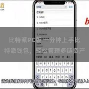 比特派PC版 一分钟上手比特派钱包，轻松管理多链资产