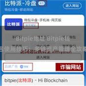 Bitpie地址 Bitpie钱包使用技巧：多链资产管理全攻略