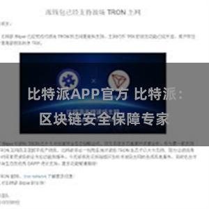 比特派APP官方 比特派：区块链安全保障专家