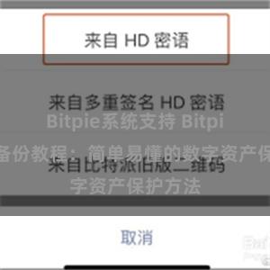 Bitpie系统支持 Bitpie APP备份教程：简单易懂的数字资产保护方法