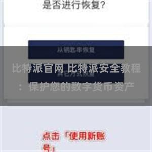 比特派官网 比特派安全教程：保护您的数字货币资产