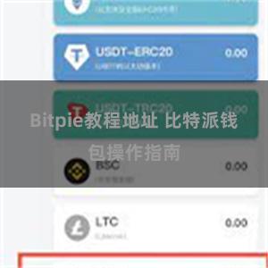 Bitpie教程地址 比特派钱包操作指南
