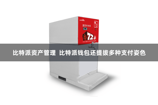 比特派资产管理  比特派钱包还提拔多种支付姿色