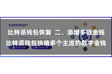 比特派钱包恢复  二、添增多链金钱比特派钱包扶植多个主流的数字金钱