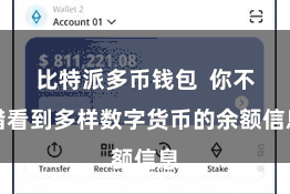 比特派多币钱包  你不错看到多样数字货币的余额信息
