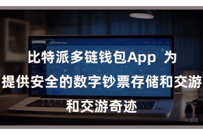 比特派多链钱包App  为用户提供安全的数字钞票存储和交游奇迹