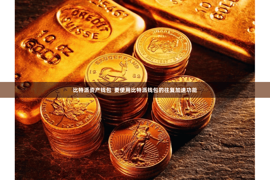 比特派资产钱包  要使用比特派钱包的往复加速功能