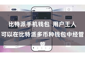 比特派手机钱包  用户王人可以在比特派多币种钱包中经管