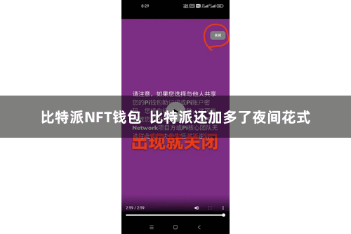 比特派NFT钱包  比特派还加多了夜间花式
