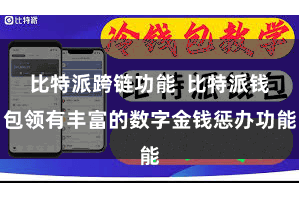 比特派跨链功能  比特派钱包领有丰富的数字金钱惩办功能