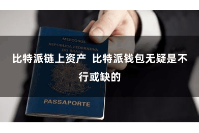比特派链上资产  比特派钱包无疑是不行或缺的