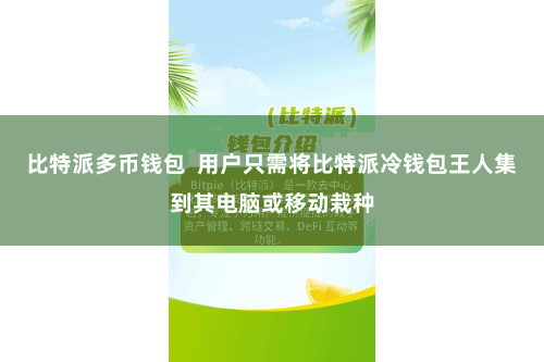 比特派多币钱包  用户只需将比特派冷钱包王人集到其电脑或移动栽种